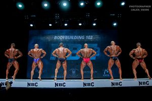 BODYBUILDING 102